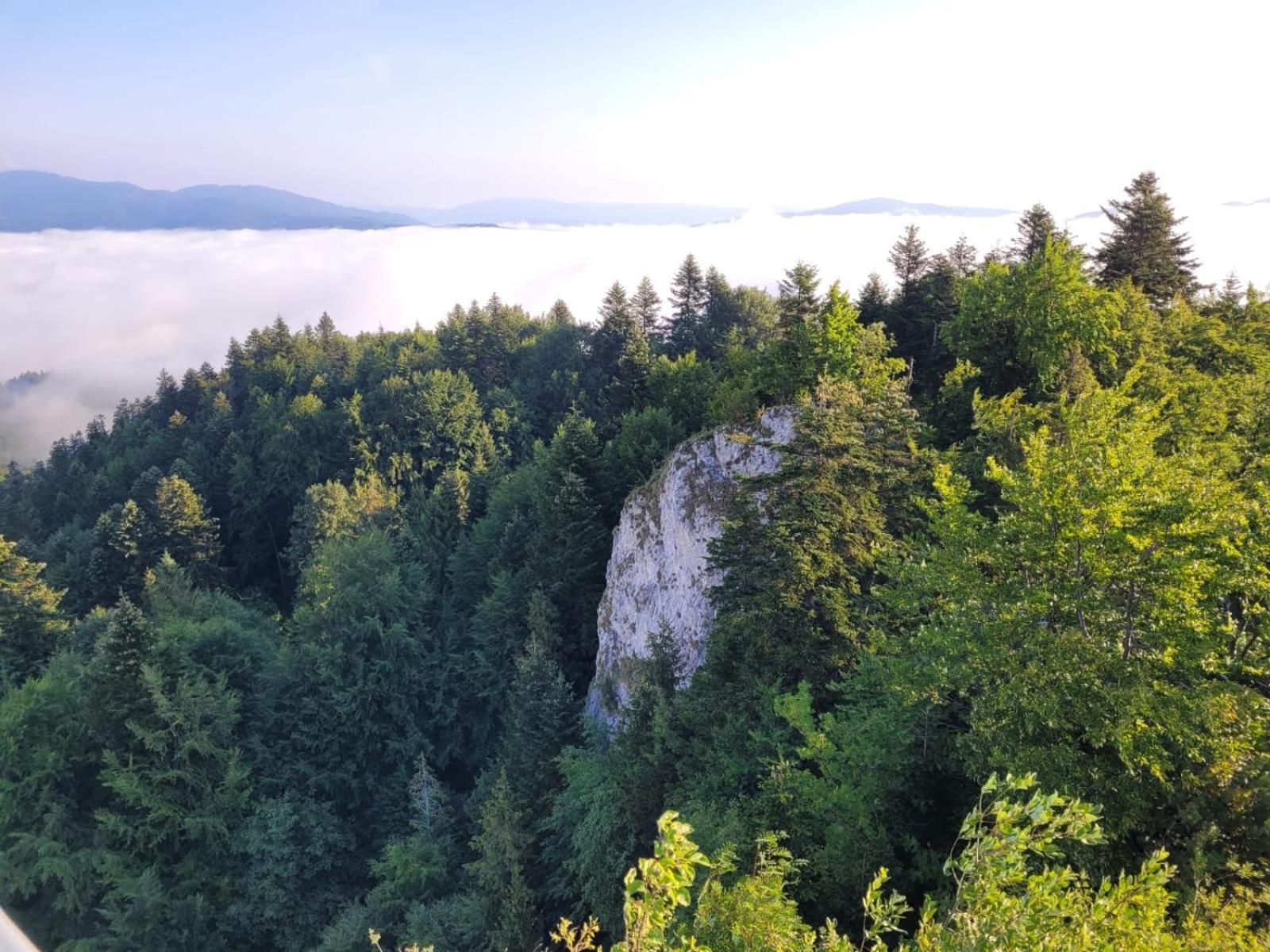 Szczytowisko Villa Grywald Eksteriør bilde